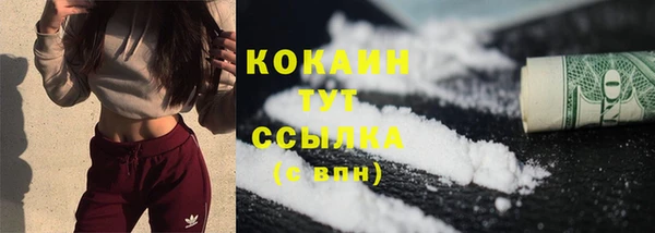кокс Арсеньев