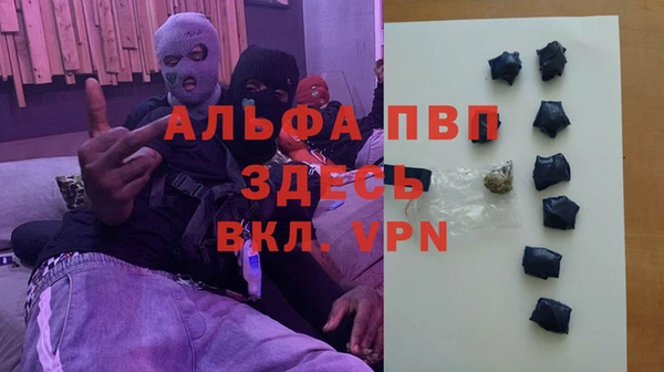 кокс Арсеньев